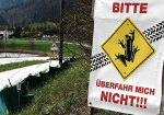 Engagierte Helfer schützen Kramsachs Frösche