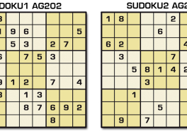 Sudoku AG 202