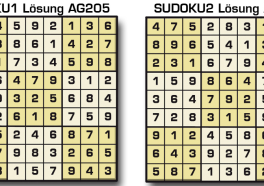 Sudoku Lösung AG 205