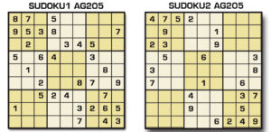 Sudoku AG 205
