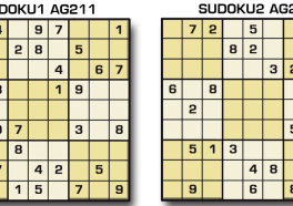 Sudoku AG 211