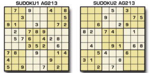 Sudoku AG 213