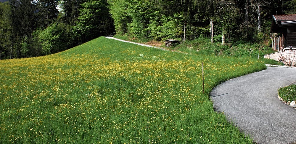 Campen in Brandenberg