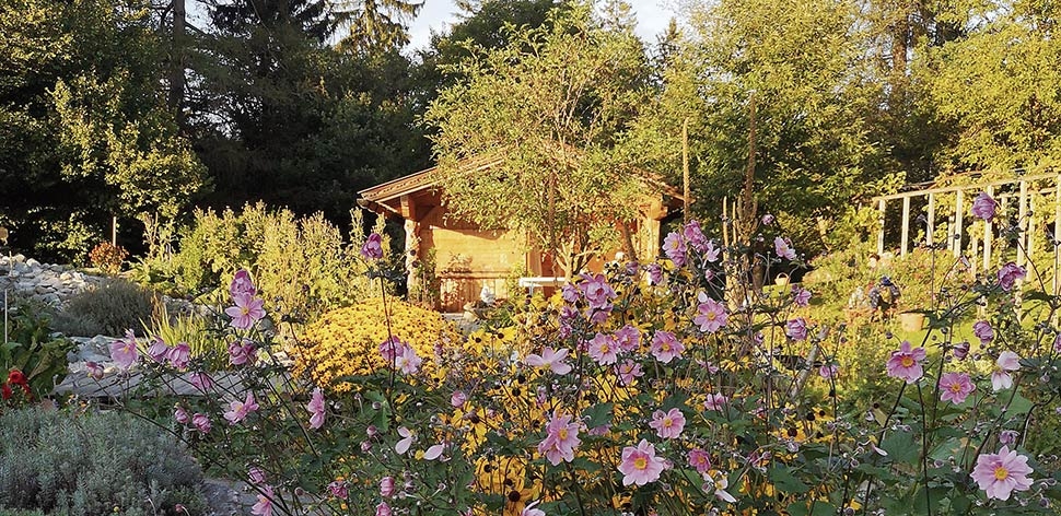 Der Hildegard von Bingen Garten