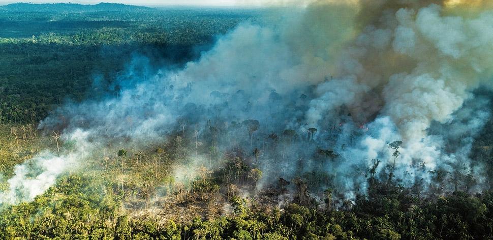 Amazonas: Unsere grüne Lunge brennt!