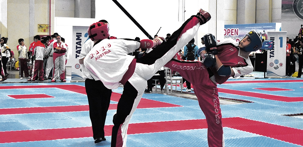 Kickboxer in Istanbul erfolgreich!