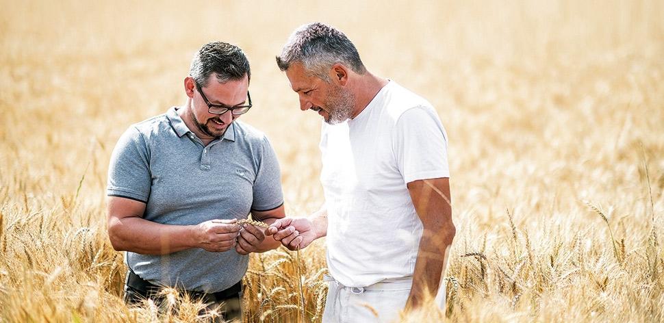 Bathelt bäckt Brot aus Münsterer Bio-Weizen!