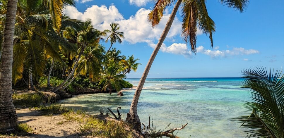 Saona und Catalina…fantastic