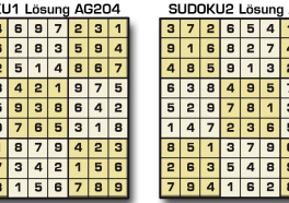 Sudoku Lösung AG 204
