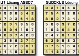 Sudoku Lösung AG 207