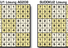 Sudoku Lösung AG 208