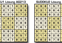 Sudoku Lösung AG 213