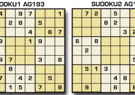 Sudoku AG 193