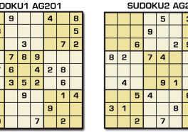 Sudoku AG 201