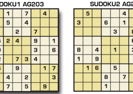 Sudoku AG 203