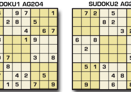 Sudoku AG 204