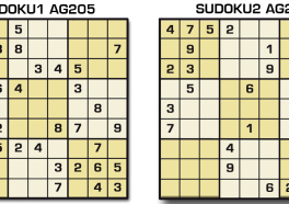 Sudoku AG 205