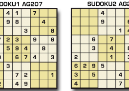 Sudoku AG 207