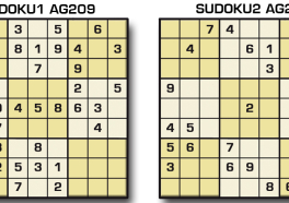 Sudoku AG 209