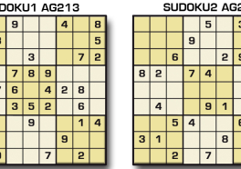 Sudoku AG 213