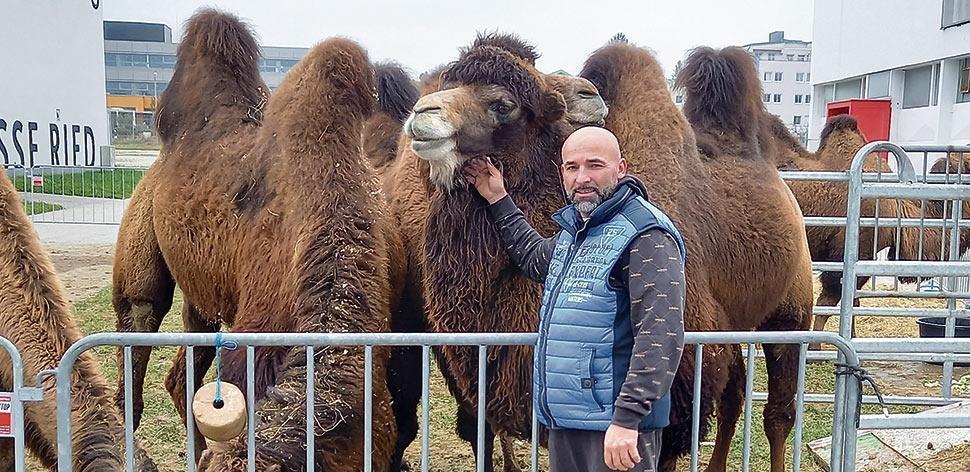 Isabella will Zirkus helfen!