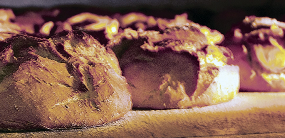 13 Mal Gold für Bäckerei Bathelt!