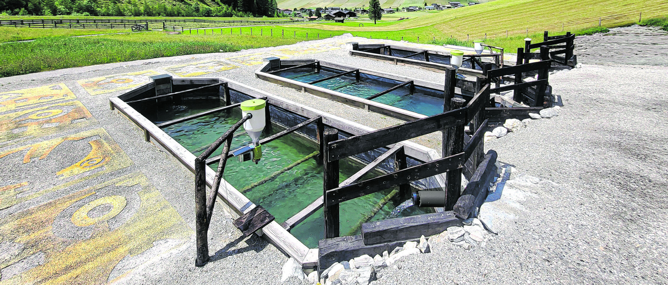 „Da Bergfisch“: Du bist, was du isst!