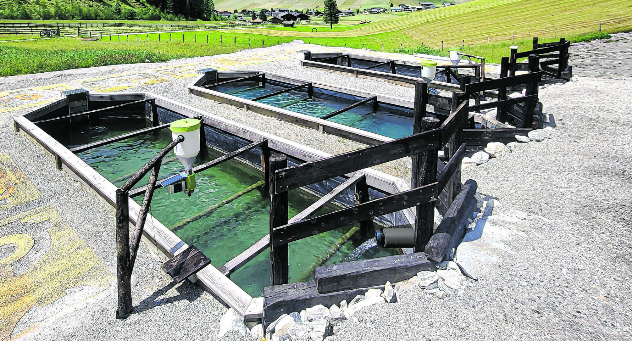 „Da Bergfisch“: Du bist, was du isst!