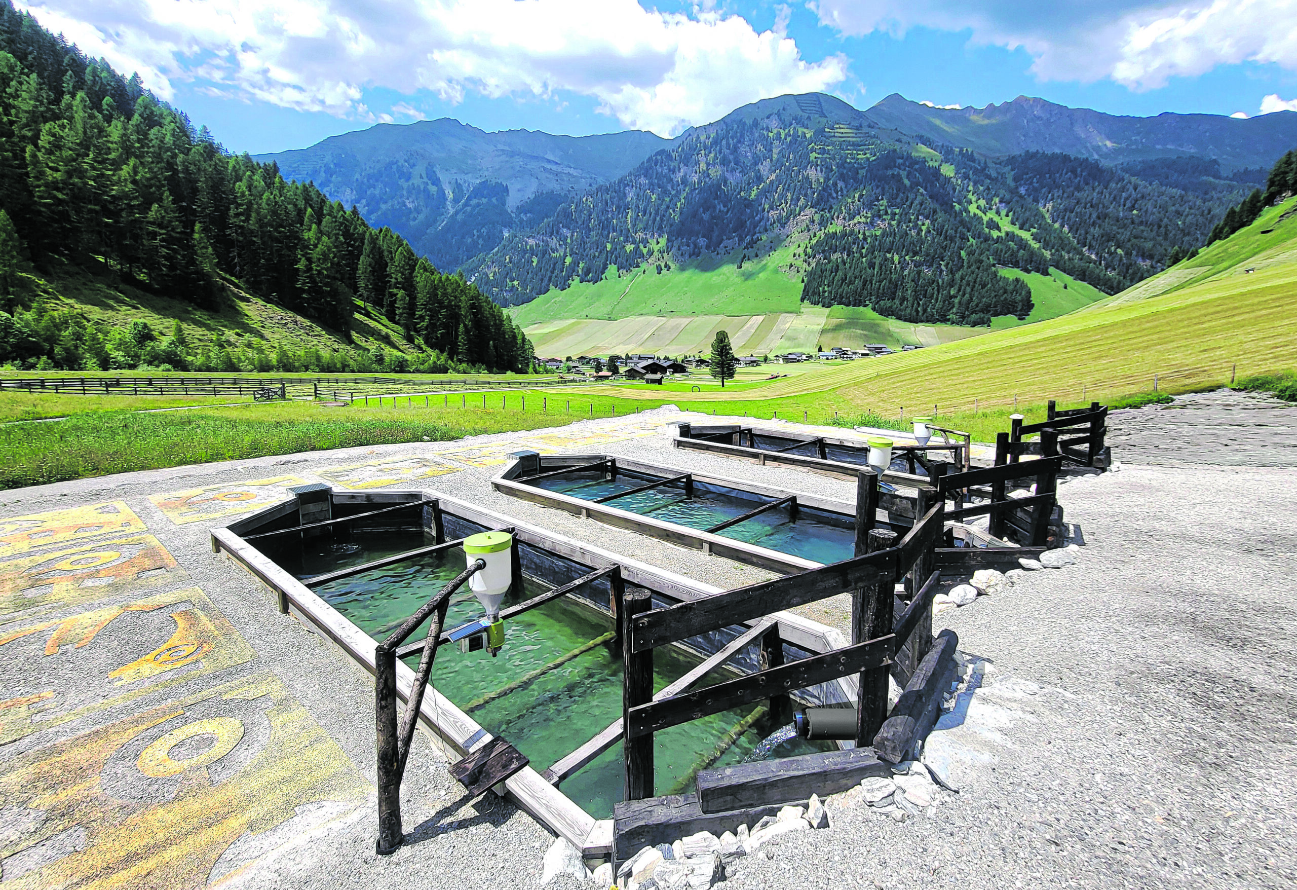 „Da Bergfisch“: Du bist, was du isst!