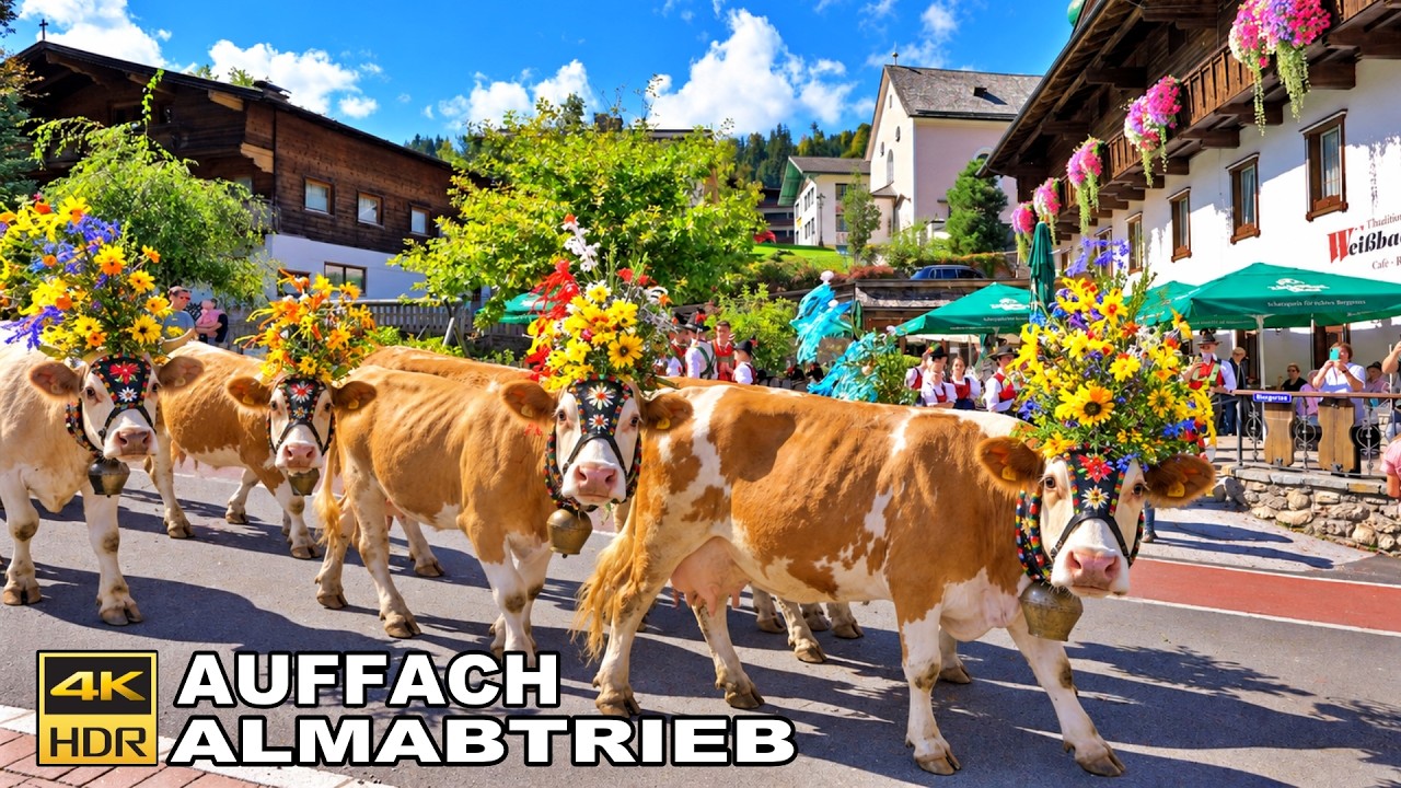 Auffacher Almabtrieb 2026